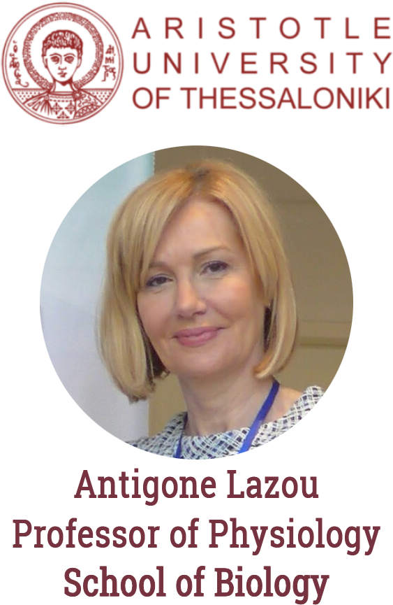 Antigone Lazou